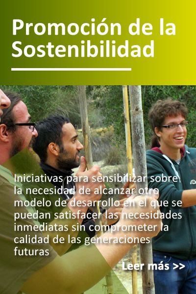 prog_sostenibilidad